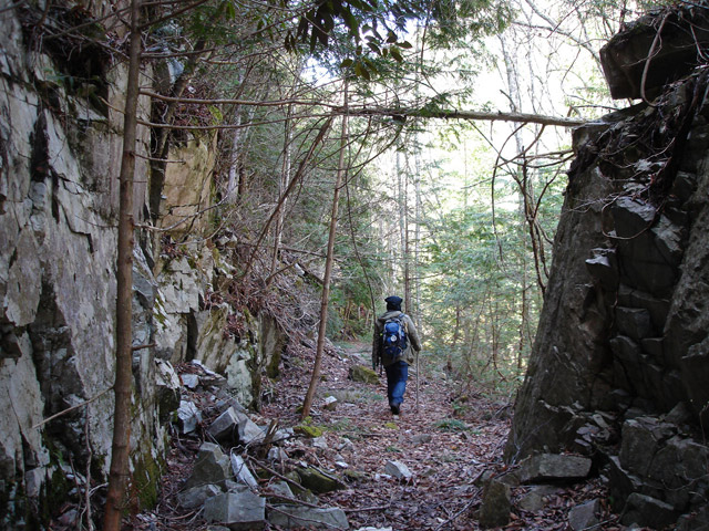 ����X�ѓS��,�ѓS,�p����,�㏼�c�я�,�O����