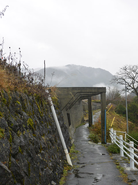 ����X�ѓS��,�p����,�ѓS,�㏼�^�A���Ə�,�ؑ]�X