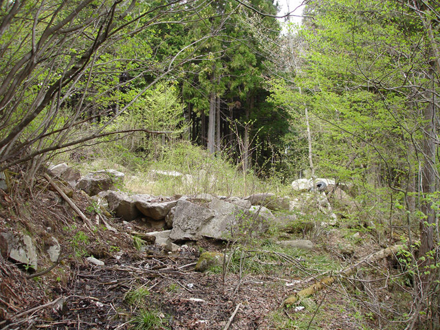 ����X�ѓS��,�ѓS,�p����,�O����,���n�g���b�v,�ؑ]