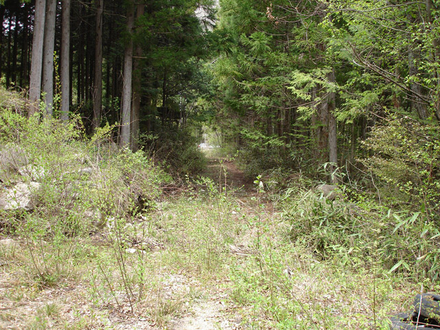 ����X�ѓS��,�ѓS,�p����,�O����,�㏼�^�A�c�я�,�ؑ]