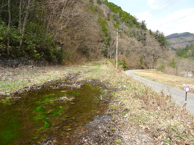 �ؑ]�X�ѓS�������,�ѓS,�p����,��������ԏ�,�X�C�b�`�o�b�N,����,�O����