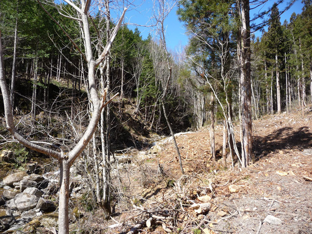 ����X�ѓS��,�ѓS,�p����,��������ԏ�,�㏼,��������,�ы�