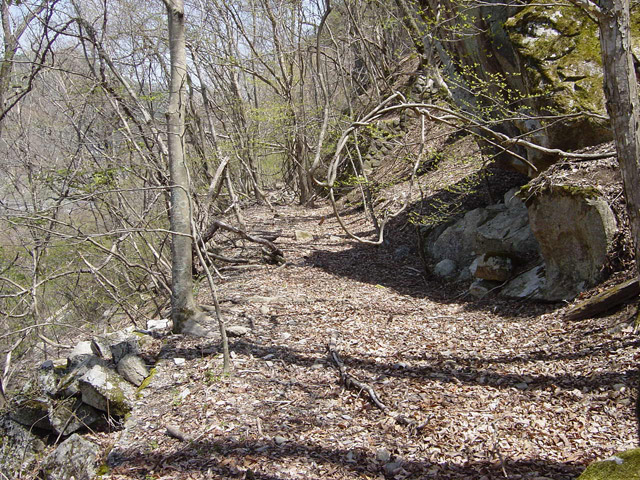 �ؑ]�X�ѓS�������,�ѓS,�p����,�㏼�^�A�c�я�,�ѓ�,����