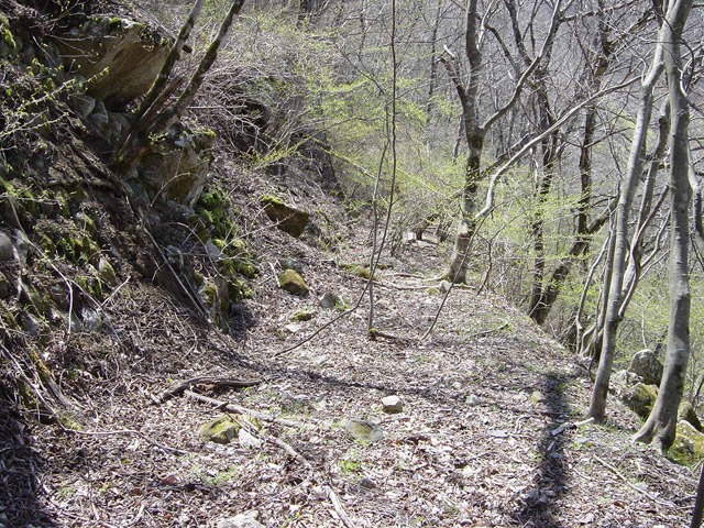 �ؑ]�X�ѓS�������,�ѓS,�p����,����c�ы�,�y�؋O��,����