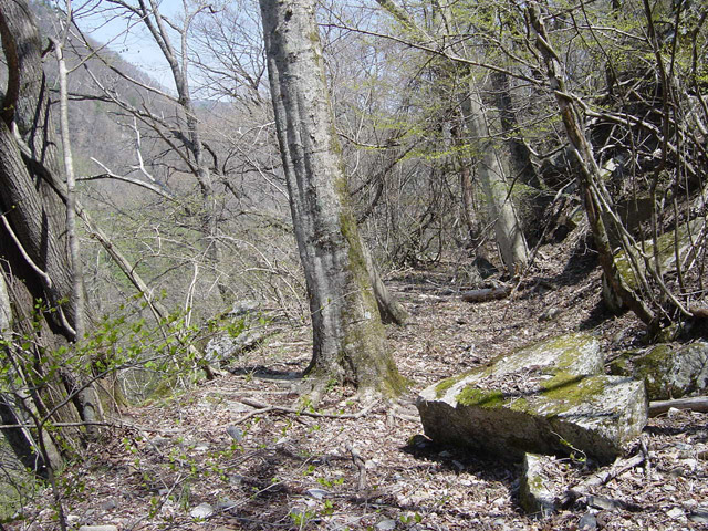 �ؑ]�X�ѓS�������,�ѓS,�p����,���O�x��,�c�я��O��,����