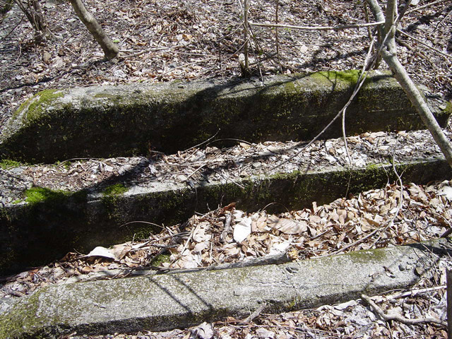 �ؑ]�X�ѓS�������,�ѓS,�p����,�J��,�c�я��O��,����