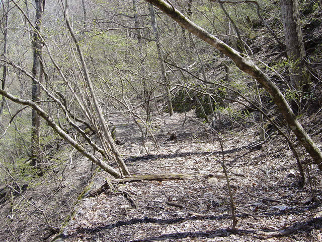 ����X�ѓS��,�ѓS,�p����,�K�̖ؑ򋴗�,����,�؍މ^���O����