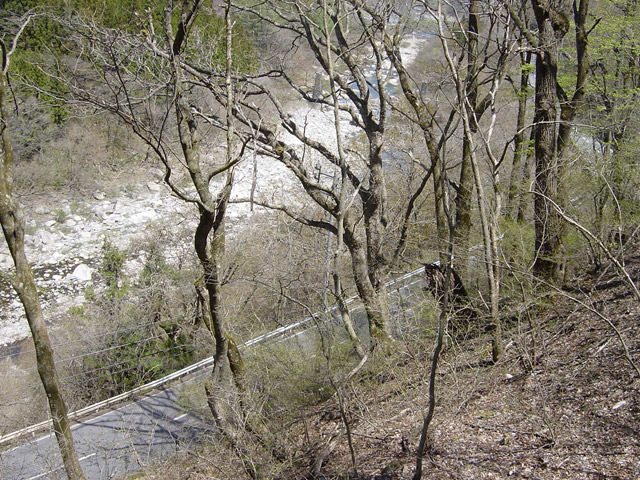 ����X�ѓS��,�ѓS,�p����,�K�̖ؑ򋴗�,����,�J�c�X�ѓS��,���쌧��256����x���ꍕ���