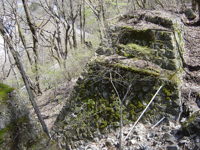 ����X�ѓS��,�ѓS,�p����,�K�̖ؑ򋴗�,����,����,�i���[�O����