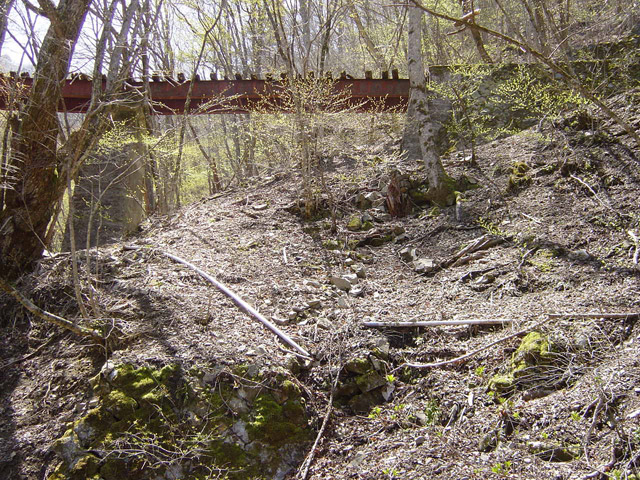 ����ѓS,�X�ѓS��,�p����,�K�̖ؑ򋴗�,�c�я��O��,����,�V��