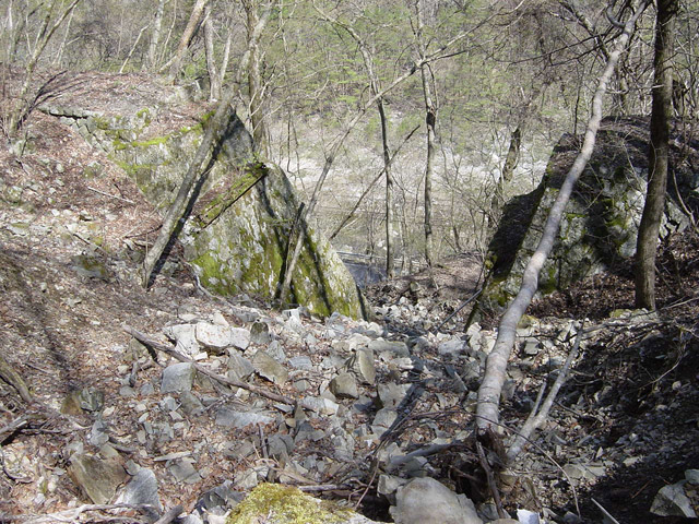 ����ѓS,�X�ѓS��,�p����,�K�̖ؑ򋴗�,�a��,����,����