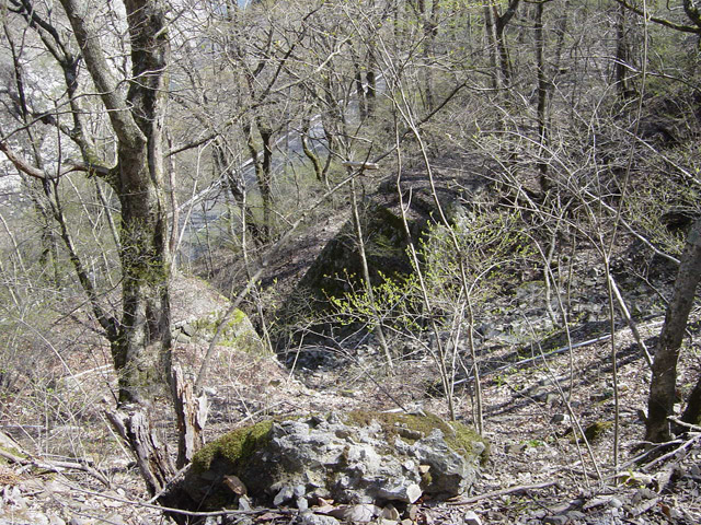 ����ѓS,�X�ѓS��,�p����,�K�̖ؑ򋴗�,�i���[�O����,����,�ؑ�����