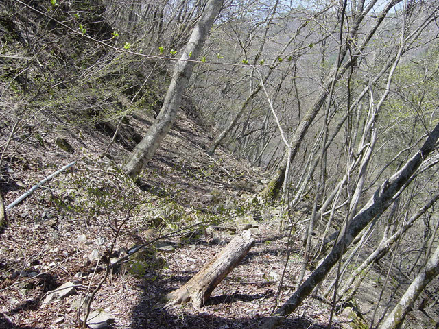 �ؑ]�X�ѓS�������,�ѓS,�p����,�i���[�O����,�㏼�^�A�c�я�,����