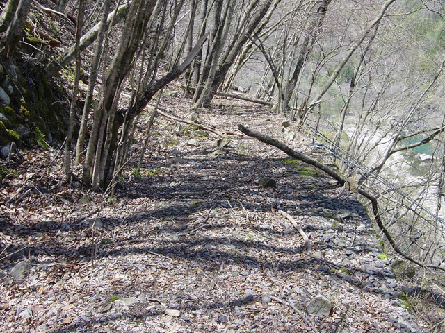 �ؑ]�X�ѓS�������,�ѓS,�p����,�؍މ^���O����,����c�ы�,����