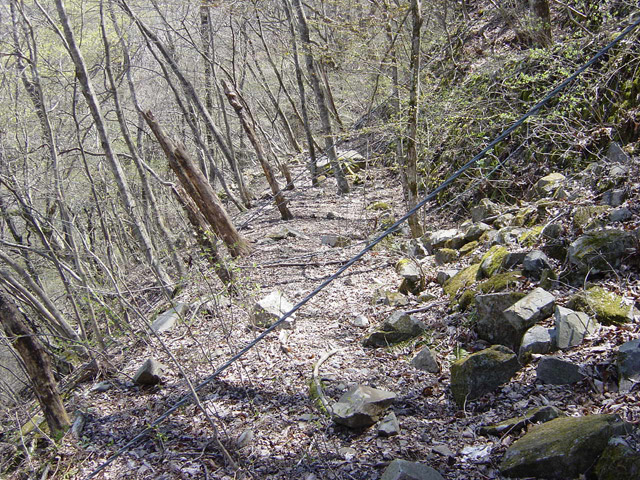 �ؑ]�X�ѓS�������,�ѓS,�p����,�؍މ^���O����,1����,����