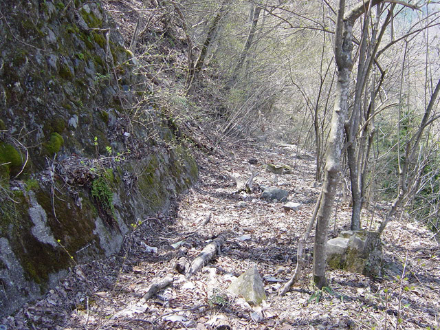 �ؑ]�X�ѓS�������,�ѓS,�p����,����,�i���[�Q�[�W,�ѓ�