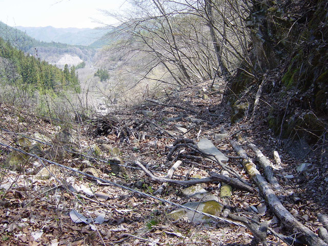 �ؑ]�X�ѓS�������,�ѓS,�p����,����,�c�я��O��,���ꑺ