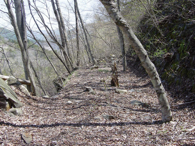 ����X�ѓS��,�ѓS,�p����,����,�؍މ^���O����,�ѓ�