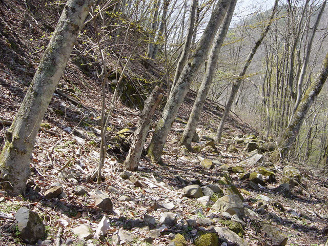 ����X�ѓS��,�ѓS,�p����,����,�؍މ^���O����,1����