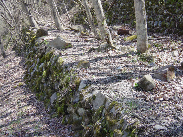 ����X�ѓS��,�ѓS,�p����,�i���[�O����,����,�Ί_