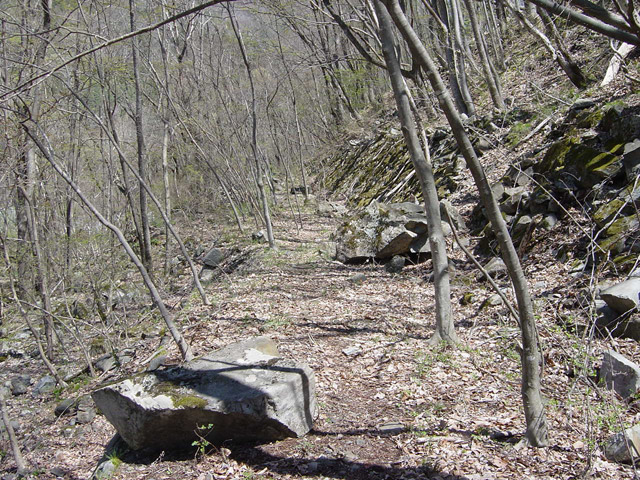 ����X�ѓS��,�ѓS,�p����,�c�я��O��,����,����