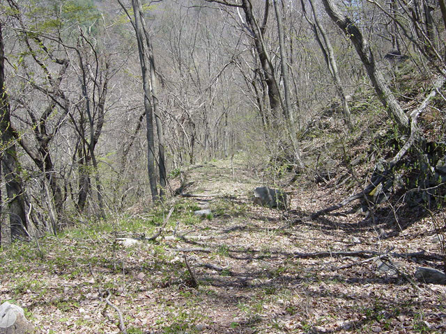 ����ѓS,�X�ѓS��,�p����,�O����,���ꑺ,����