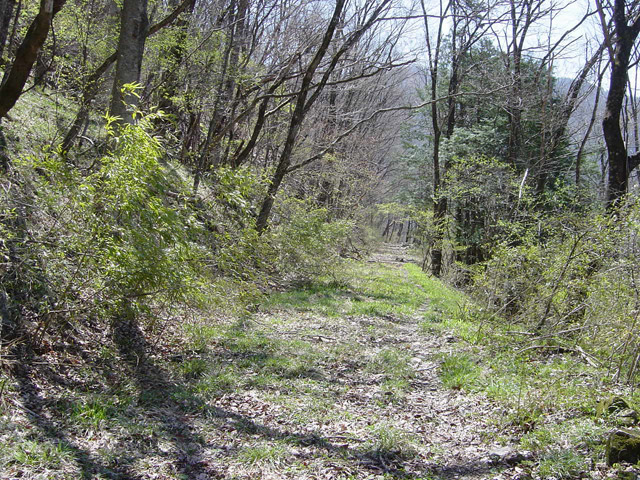 ����ѓS,�X�ѓS��,�p����,�O����,�ԓ���,����