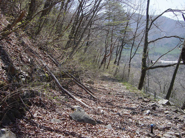 �ؑ]�X�ѓS�������,�ѓS,�p����,�i���[�O����,����,��q��