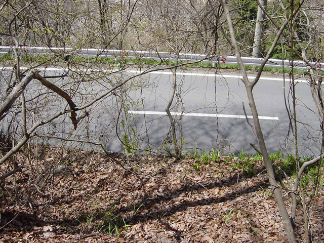 �ؑ]�X�ѓS�������,�ѓS,�p����,�c�я��O����,����,���쌧��256����x���ꍕ���