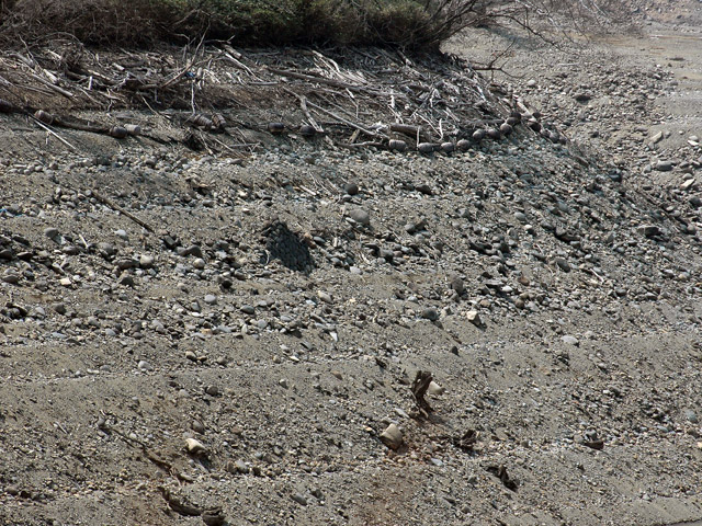 ����X�ѓS��,�ѓS,�p����,����,�ԏ�,��x��,�؍މ^���O����