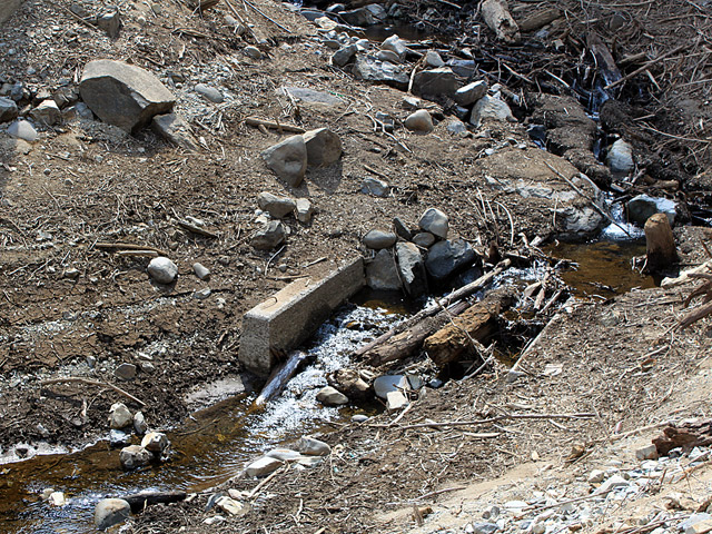 �ؑ]�X�ѓS�������,�ѓS,�p����,����,��ˑ򋴗�,�n�E�g���X,�⋭