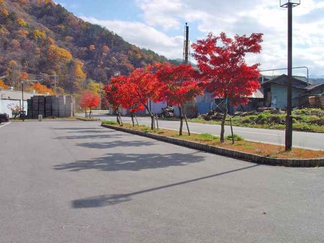 ����X�ѓS��,�ѓS��,�p����,�V��ԏ�,���؏�,�g�t,�����͂��O���[���p�[�N