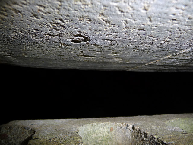 ����X�ѓS��,�ѓS,�p����,�����H,�V���B,詓�,�g���l��,�֐��d��