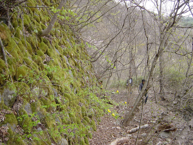 ����X�ѓS��,�p����,�ѓS,�O�Y�_����,�O�Y�����r,�ؑ]�X