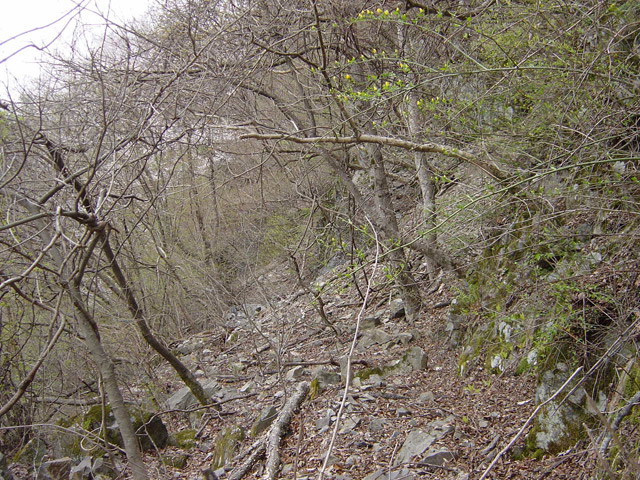 ����X�ѓS��,�p����,�ѓS,�O�Y�_����,�O�Y�����r,�ؑ]�X