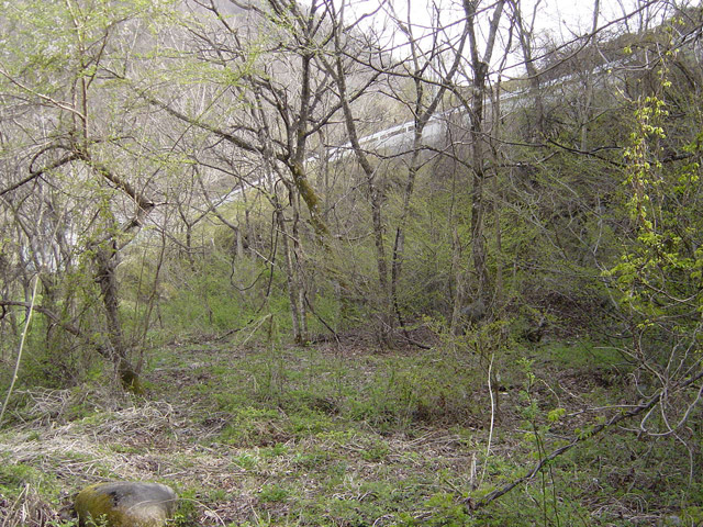 �ؑ]�X�ѓS�������,�ѓS,�p����,�㏼�^�A�c�я�,����,�їp�O��