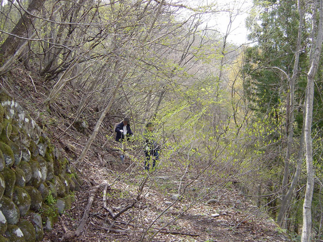 �ؑ]�X�ѓS�������,�ѓS,�p����,�H��,�O����,�Ί_