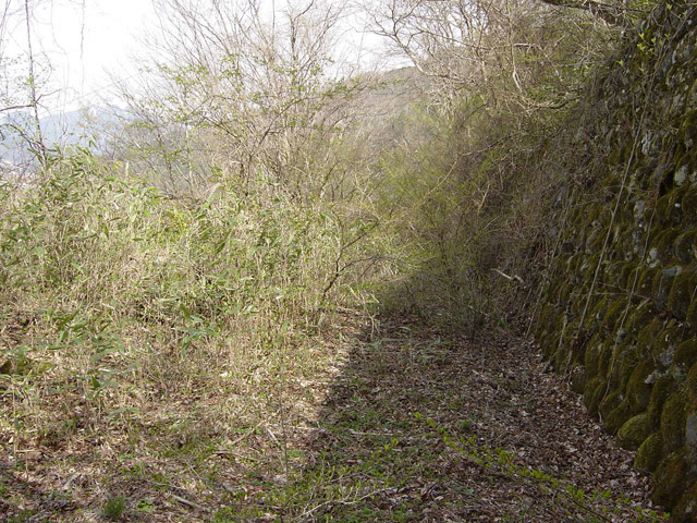 �ؑ]�X�ѓS�������,�ѓS,�p����,����,�O����,�Ί_