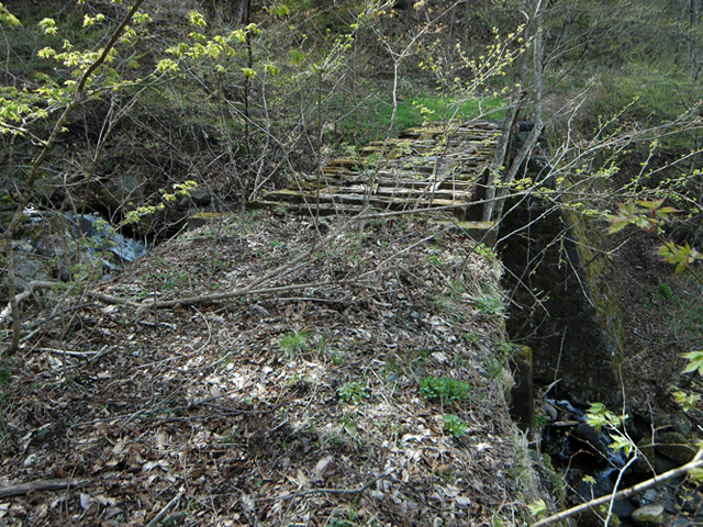 ����X�ѓS��,�ѓS,�p����,�ؑ]�X,��n�򋴗�,�S��,�p��