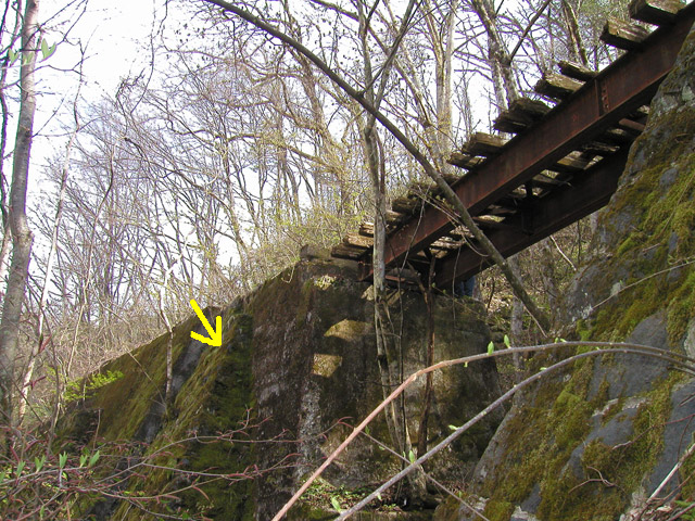 ����X�ѓS��,�ѓS,�p����,�ؑ]�X,��n�򋴗�,�؋�,������