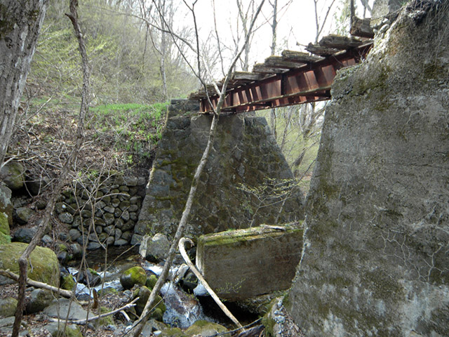 ����X�ѓS��,�ѓS,�p����,��n�򋴗�,��|�H����,����,�p��