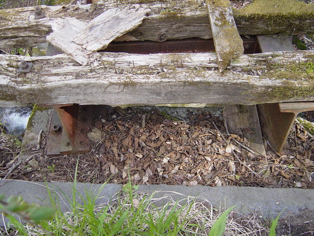 ����X�ѓS��,�ѓS,�p����,��n�򋴗�,��|�H����,����,�p��