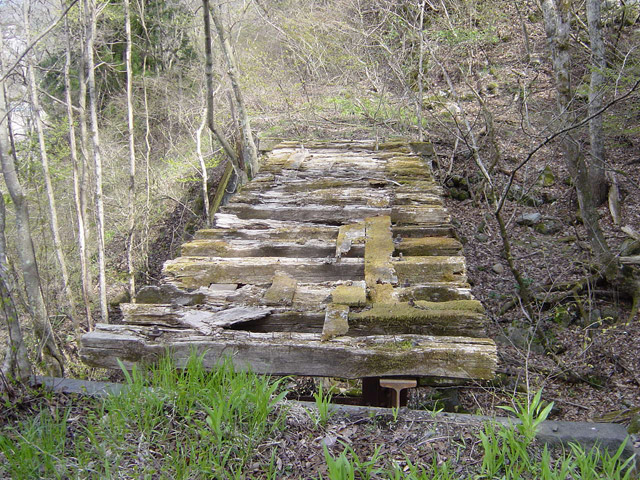 ����X�ѓS��,�ѓS,�p����,��n�򋴗�,��|�H����,����,�p��