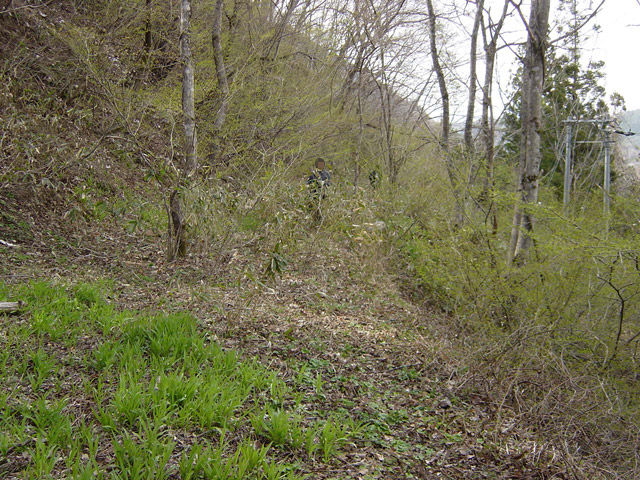 ����X�ѓS��,�ѓS,�p����,�㏼�^�A�c�я�,�؍މ^���O��,�ؑ]���O�x