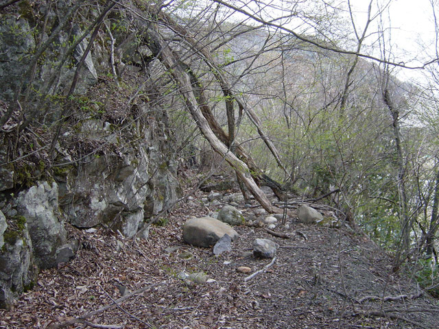 ����X�ѓS��,�ѓS,�p����,�㏼�^�A�c�я�,�؍މ^���O��,�ѓ�