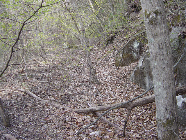 ����X�ѓS��,�ѓS,�p����,�㏼�^�A�c�я�,�O����,�ѓ�