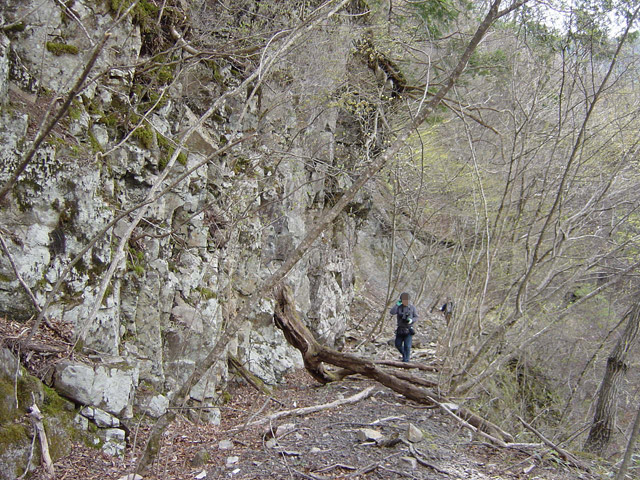 ����X�ѓS��,�ѓS,�p����,�㏼�^�A�c�я�,�O����,�ѓ�