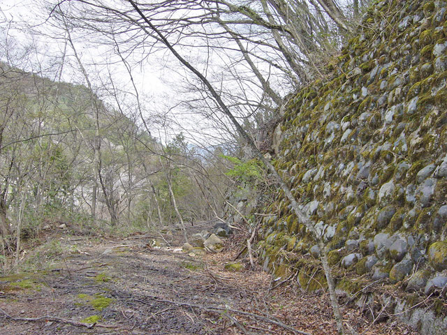 ����X�ѓS��,�ѓS,�p����,�㏼�^�A�c�я�,�O����,�Ί_