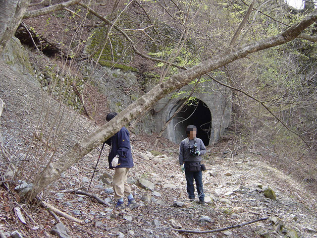 ����X�ѓS��,�ѓS,�p����,�㏼�^�A�c�я�,�O����,詓�,�g���l��