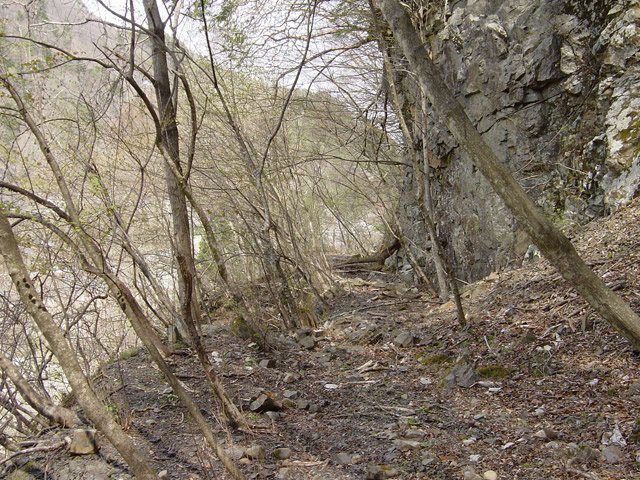 ����X�ѓS��,�ѓS,�p����,�㏼�^�A�c�я�,�O����,��n���V��,�H��